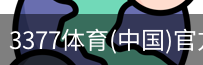 3377体育